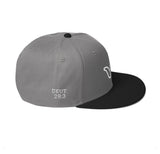 The City Snapback